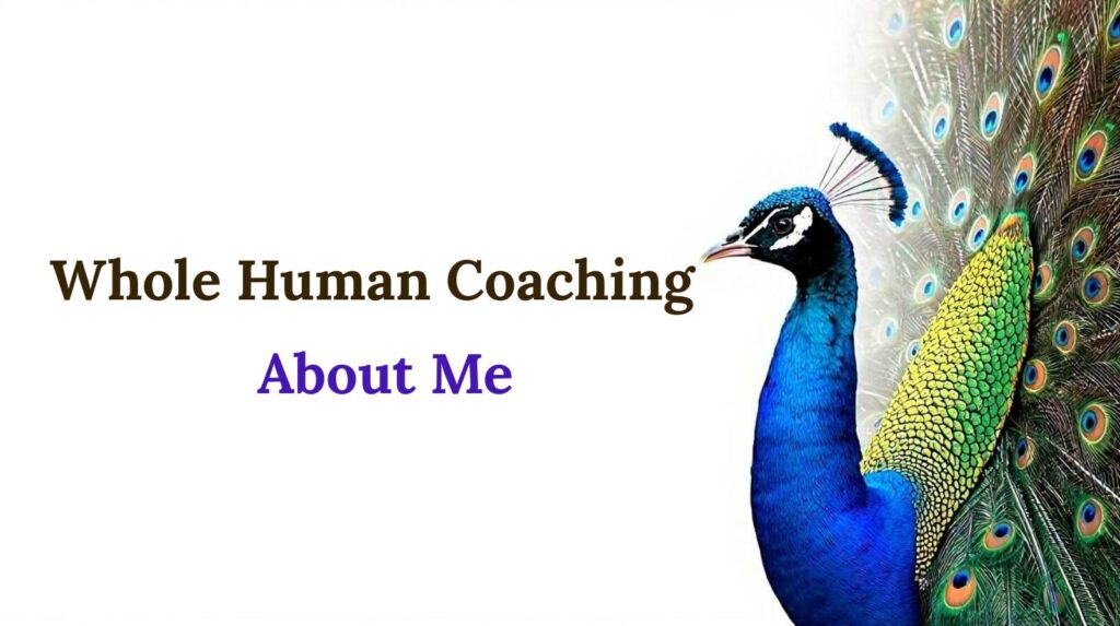 About Me whole human coaching peacock