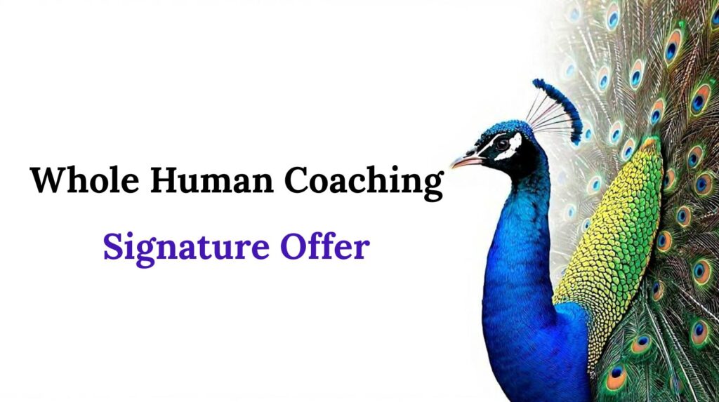 Work With Me whole human coaching peacock