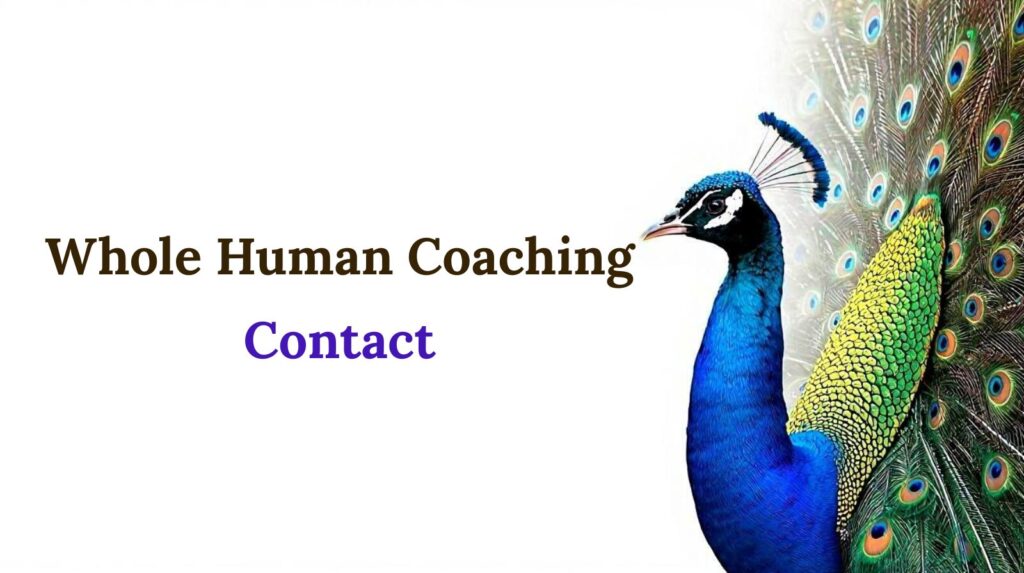 whole human coaching (6)